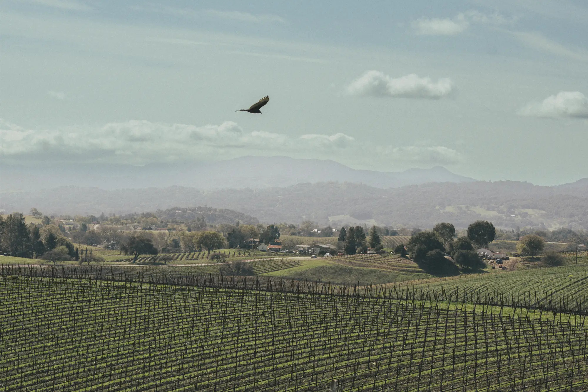 Visit Truss Wines Paso Robles